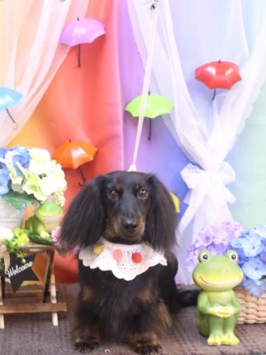 20230608小太郎くん